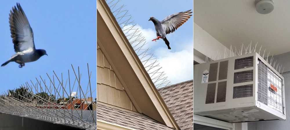 Fiber Line & Broadband Line Activation